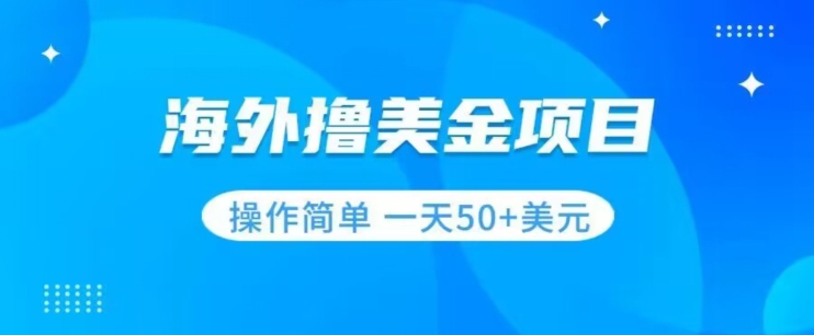 撸美金项目无门槛操作简单小白一天50+美刀-最新资源站